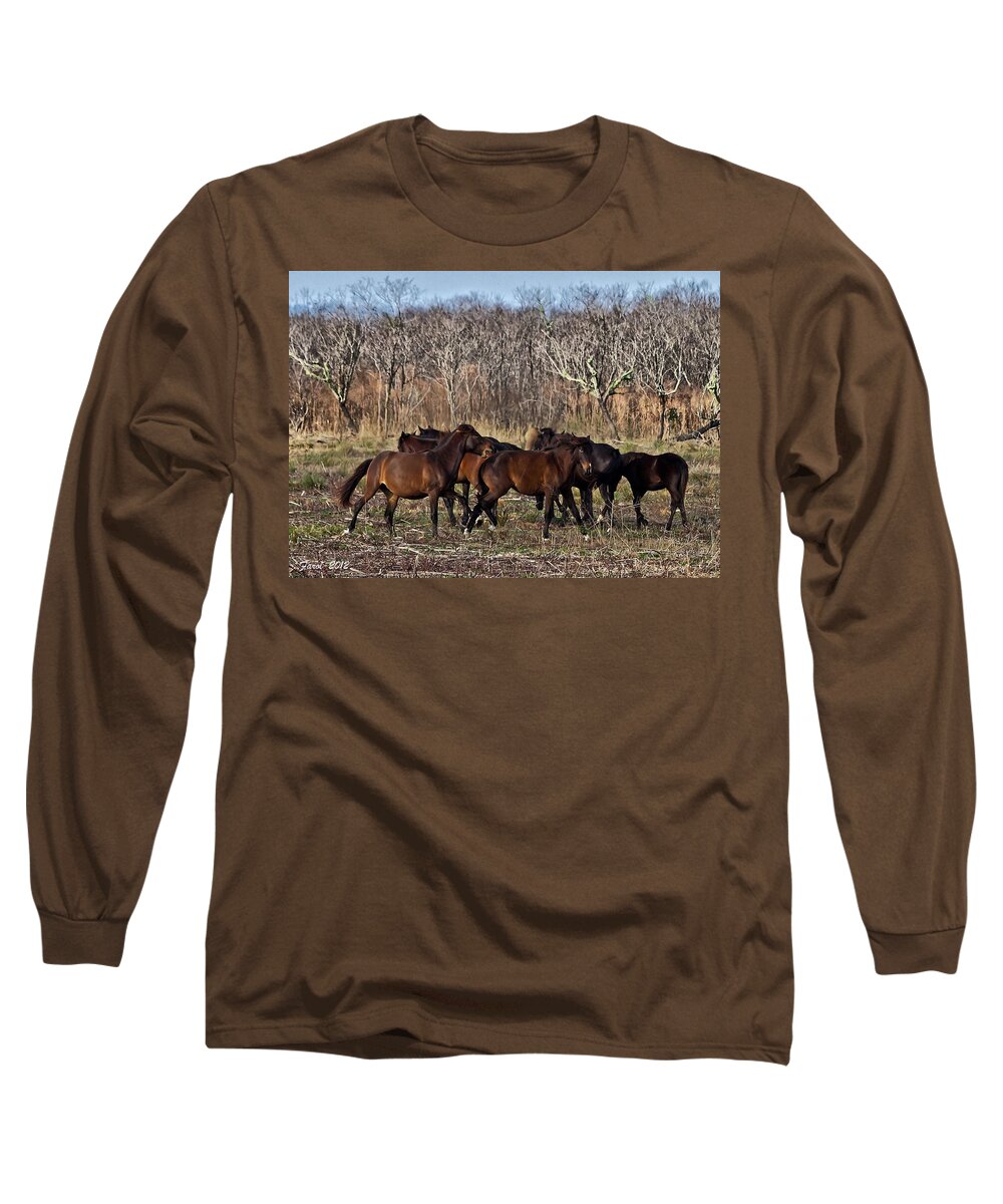 Equine Long Sleeve T-Shirt featuring the photograph Wild Horses by Farol Tomson