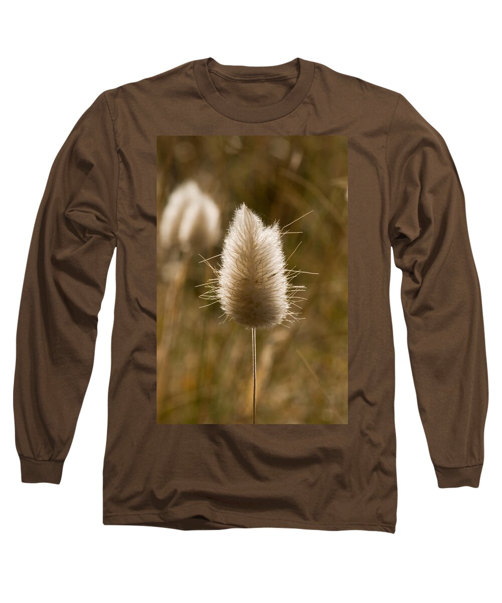 Abstract Long Sleeve T-Shirt featuring the photograph A beautiful seed pod with beautiful sun reflection by U Schade