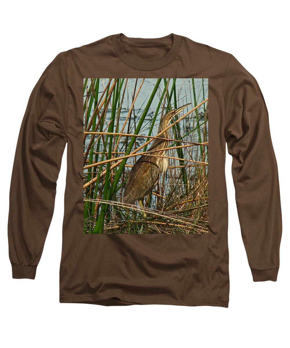 Nature Long Sleeve T-Shirt featuring the photograph American Bittern by Peggy Urban