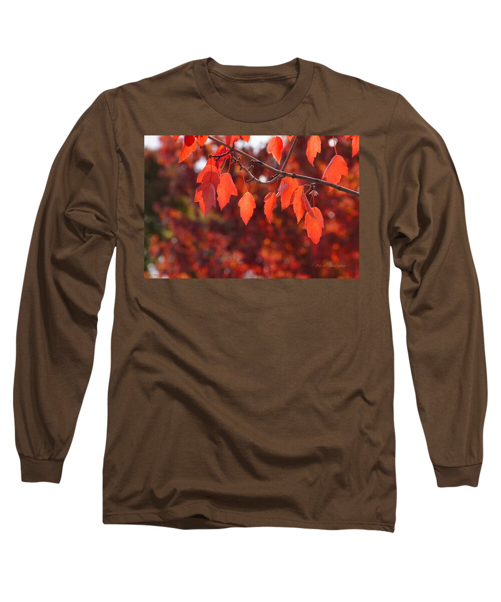 Medford Long Sleeve T-Shirt featuring the photograph Autumn Leaves in Medford by Mick Anderson