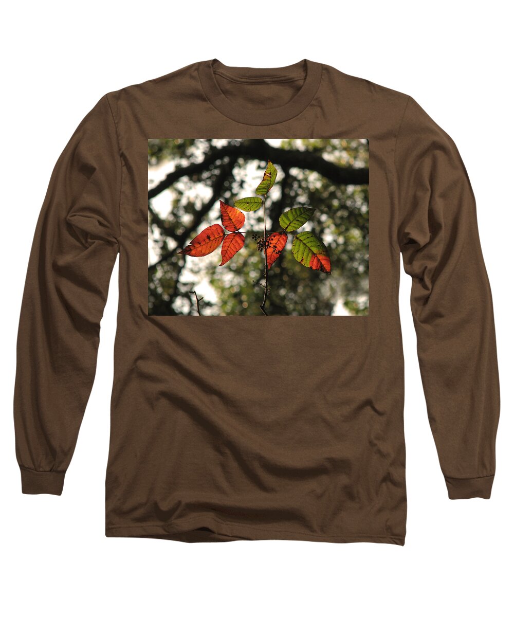 Nature Long Sleeve T-Shirt featuring the photograph Blackgum Leaves and Fruit by Peggy Urban