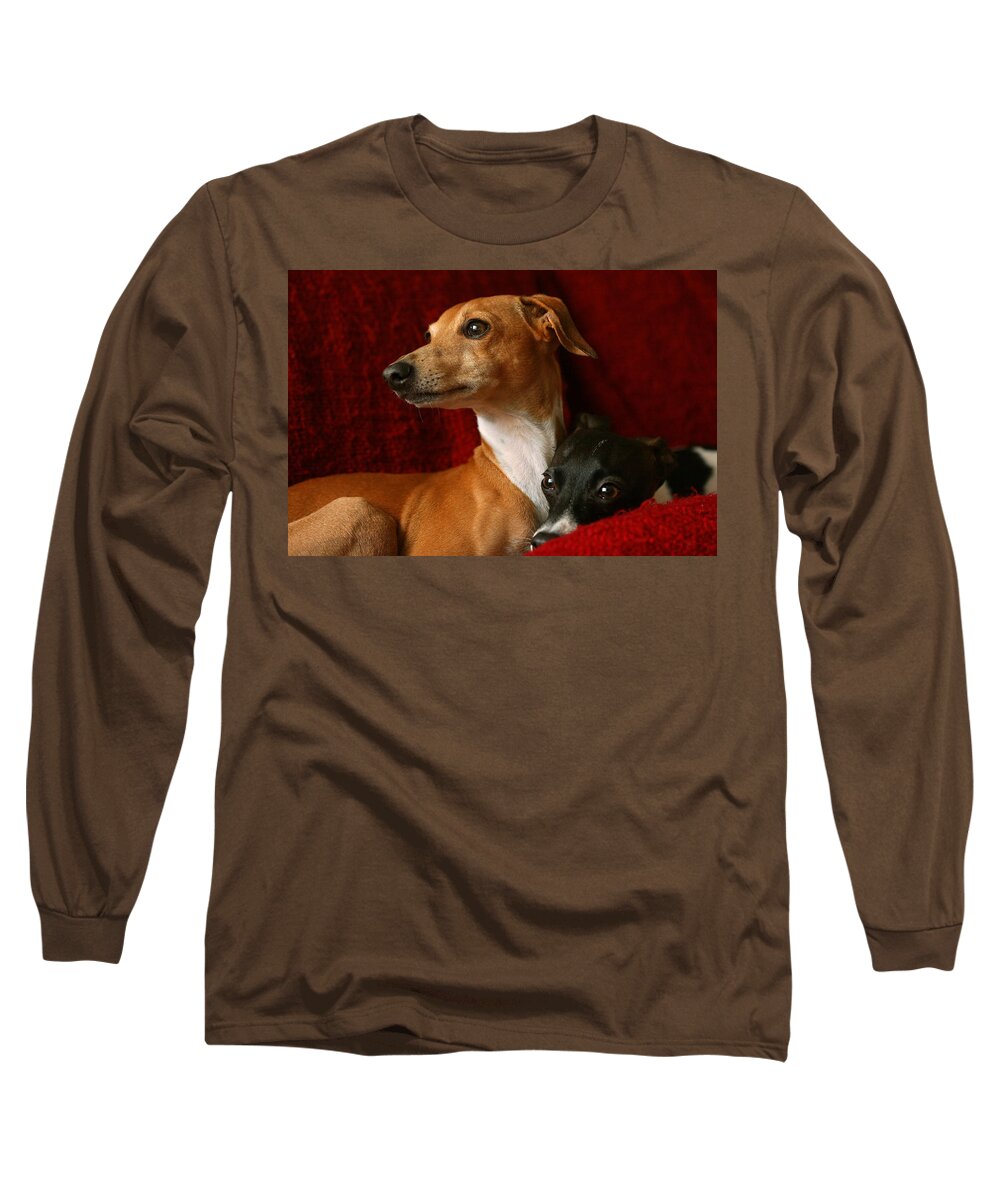 Editorial Long Sleeve T-Shirt featuring the photograph Brothers Italian Greyhounds by Angela Rath