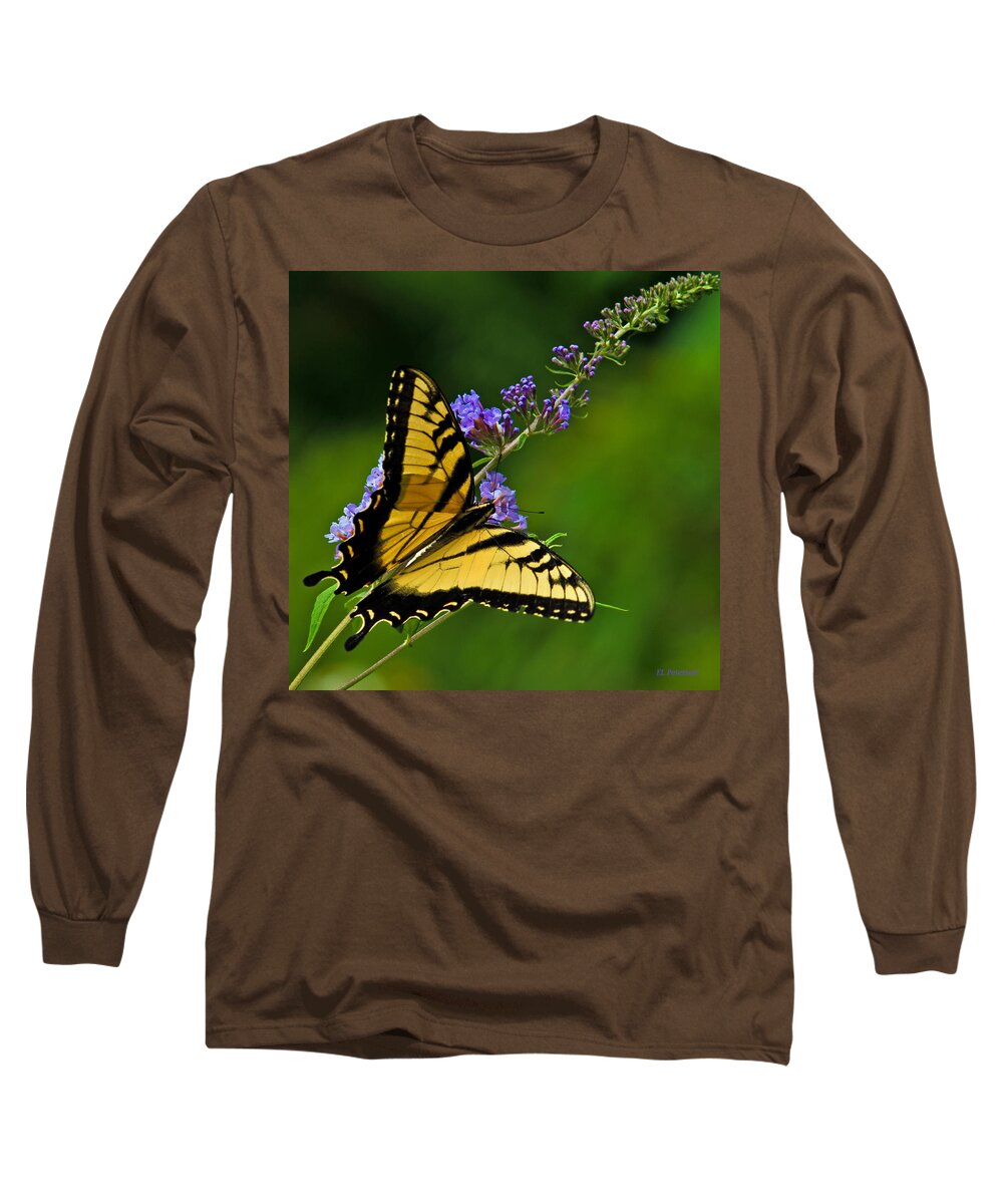 Flowers Long Sleeve T-Shirt featuring the photograph Butterfly by Ed Peterson