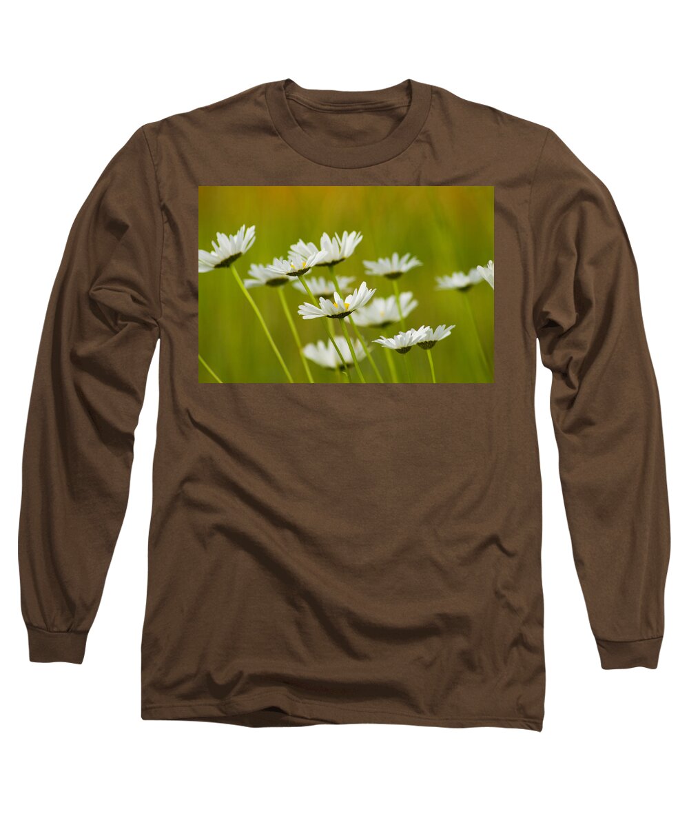 Leucanthemum Vulgare Long Sleeve T-Shirt featuring the photograph Cheerful Daisy Wildflowers Blowing in the Wind by Kathy Clark