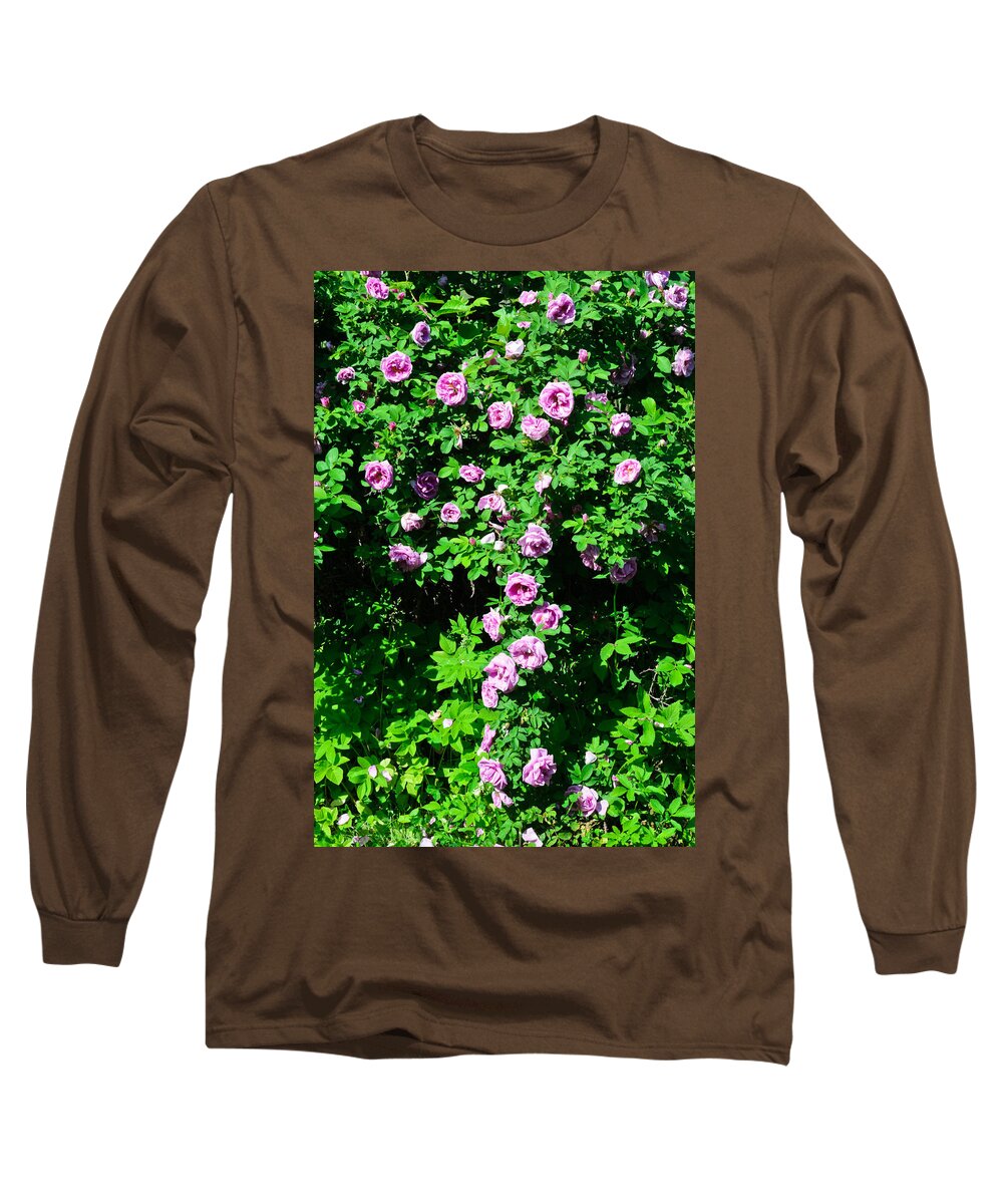 Nature Long Sleeve T-Shirt featuring the photograph China Rose by Michael Goyberg