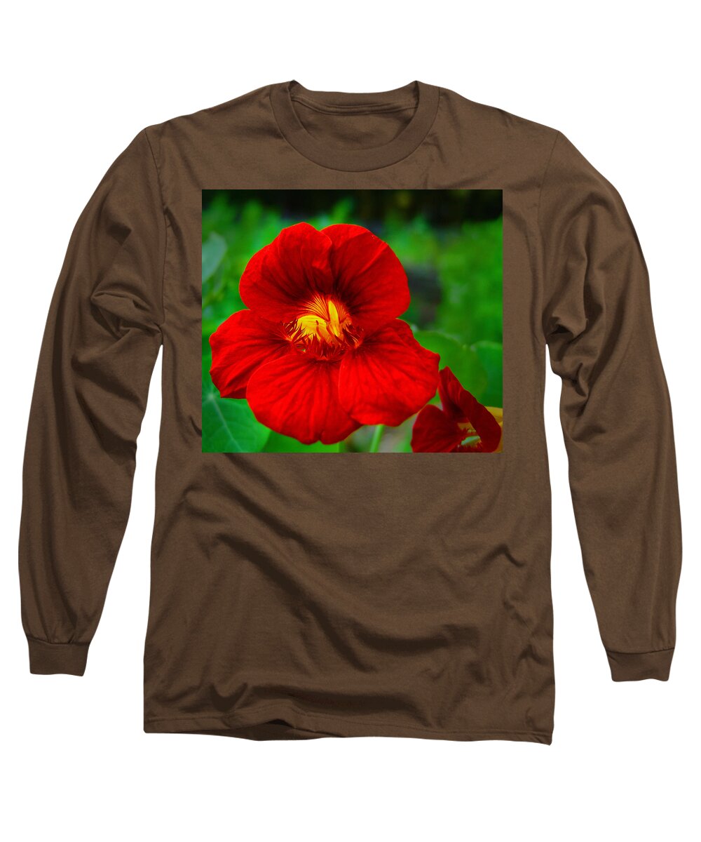 Day Lily Long Sleeve T-Shirt featuring the photograph Day Lily by Bill Barber