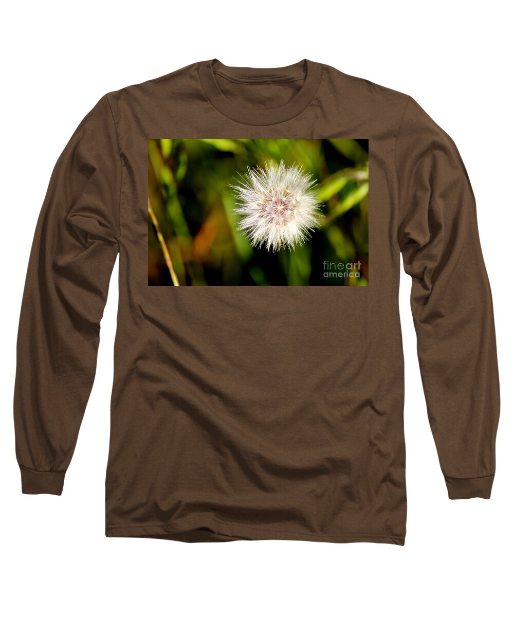 Dandelions Long Sleeve T-Shirt featuring the photograph Delicate Dandelion by Kathy White