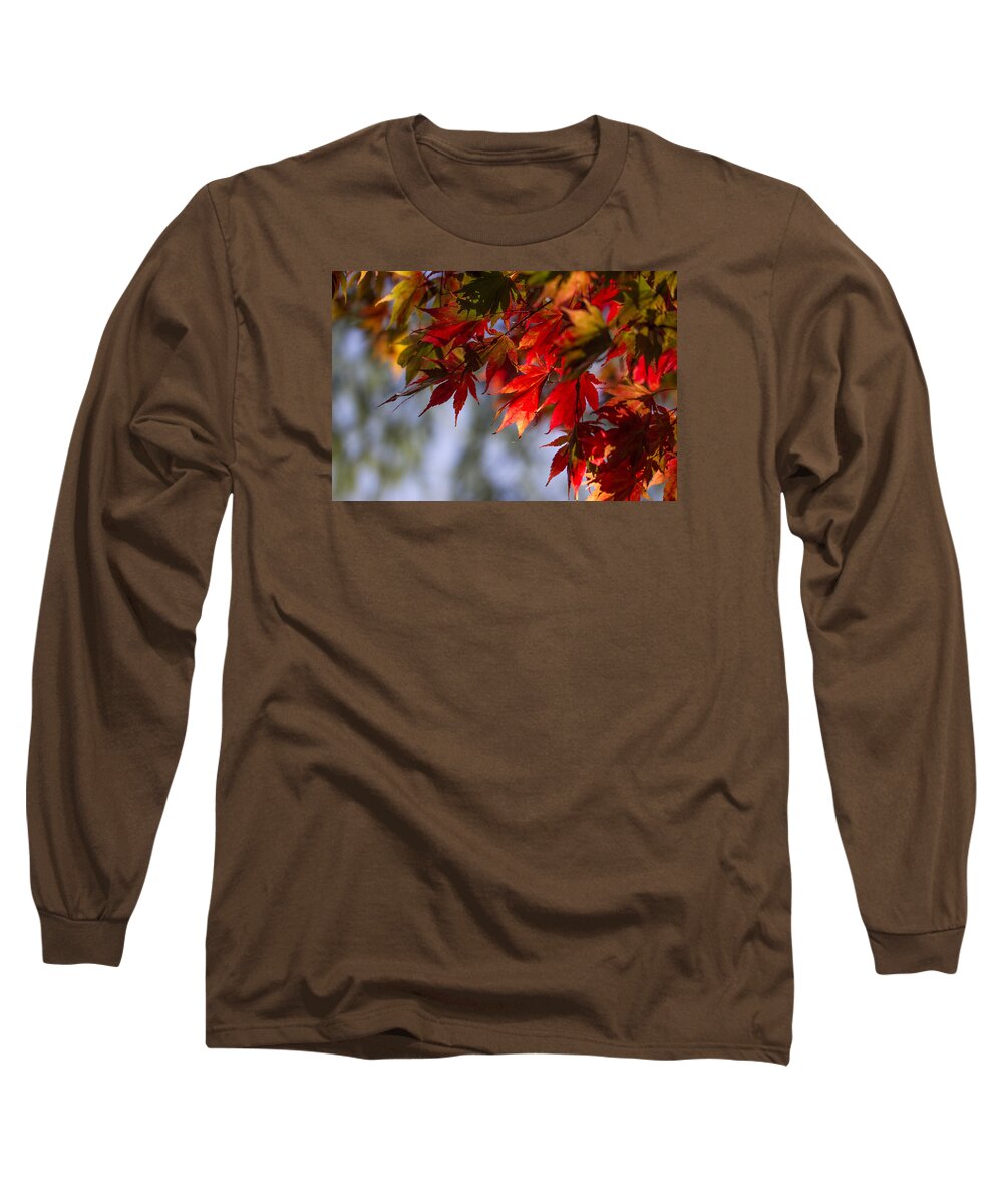 Japanese Long Sleeve T-Shirt featuring the photograph Fall Leaves Glowing Like Flames. by Clare Bambers