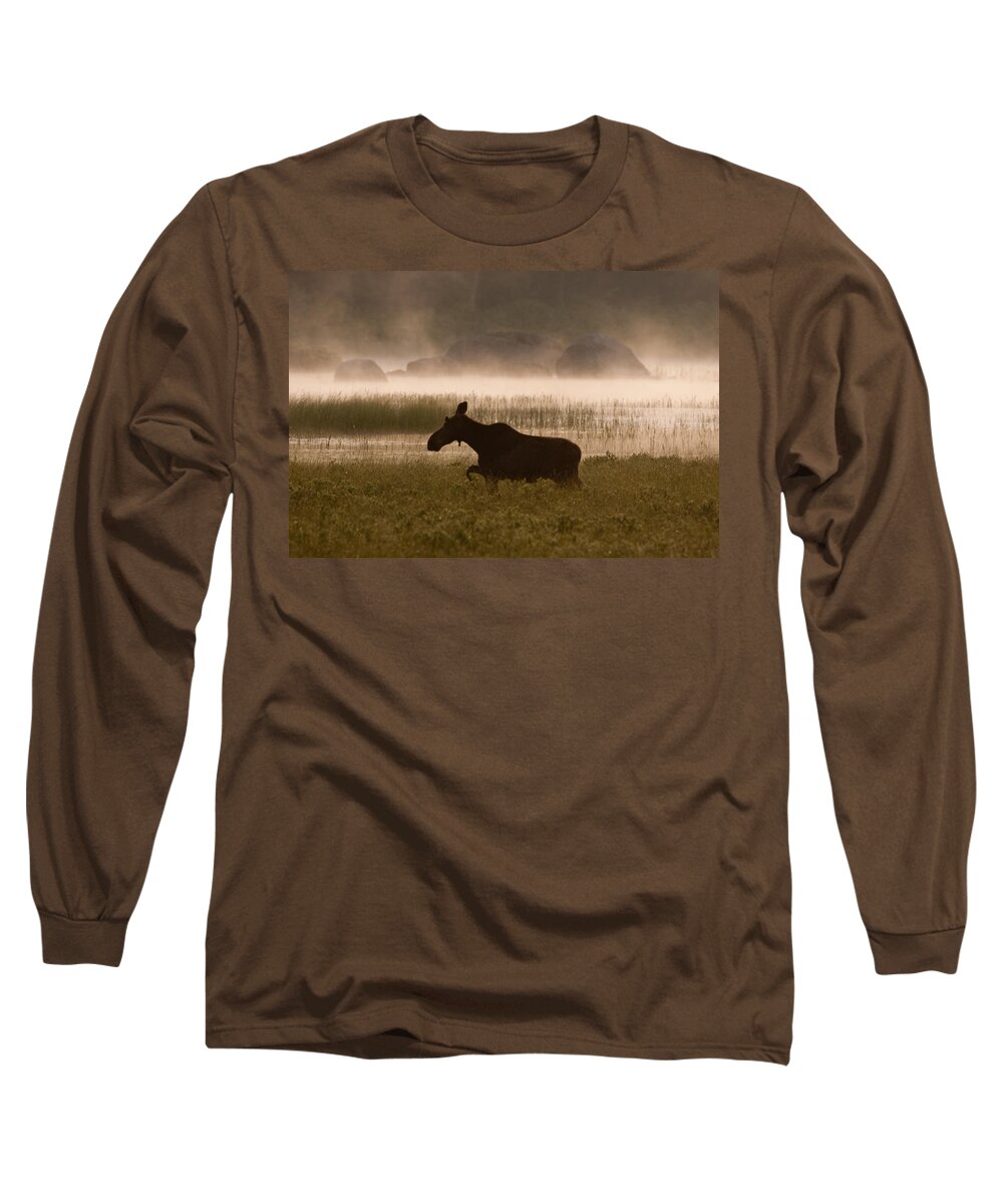 Moose Long Sleeve T-Shirt featuring the photograph Foggy Stroll by Brent L Ander