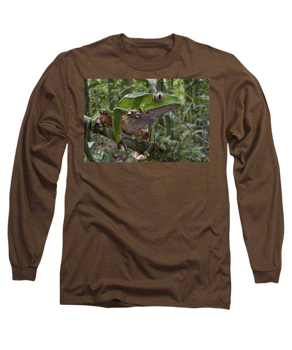 00479318 Long Sleeve T-Shirt featuring the photograph Giant Monkey Frog In Rainforest Surinam by Piotr Naskrecki