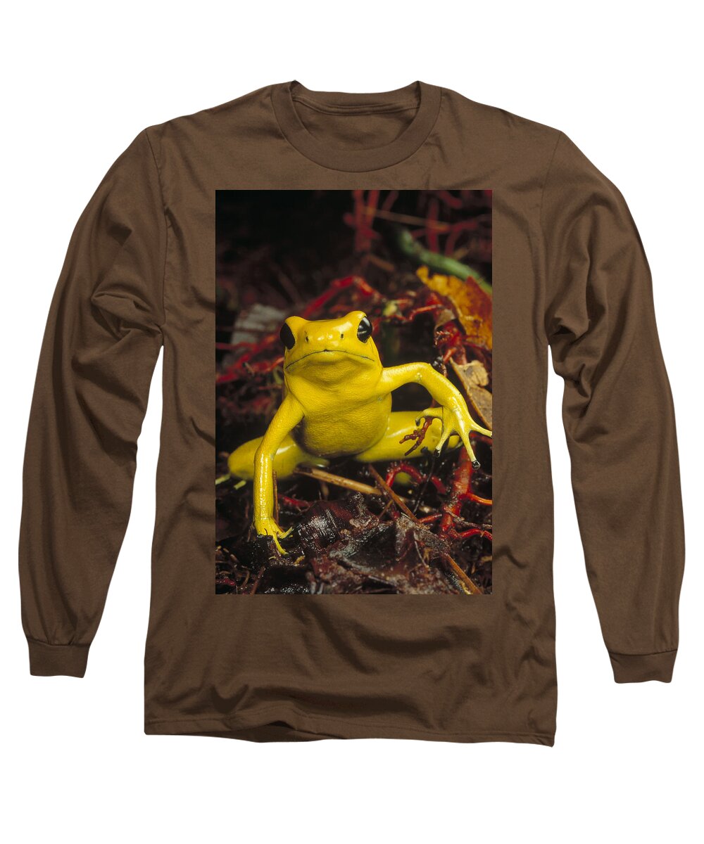 Mp Long Sleeve T-Shirt featuring the photograph Golden Poison Dart Frog Phyllobates by Mark Moffett