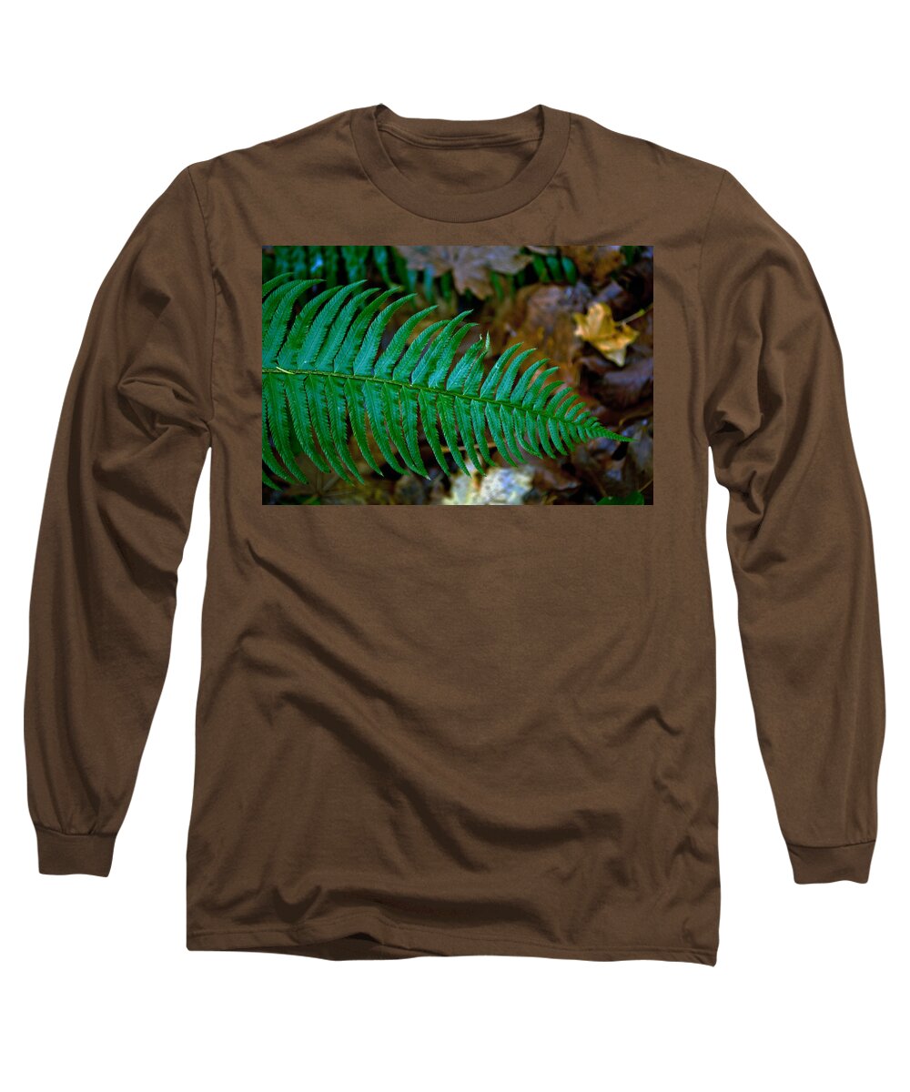 Autumn Long Sleeve T-Shirt featuring the photograph Green Fern by Tikvah's Hope