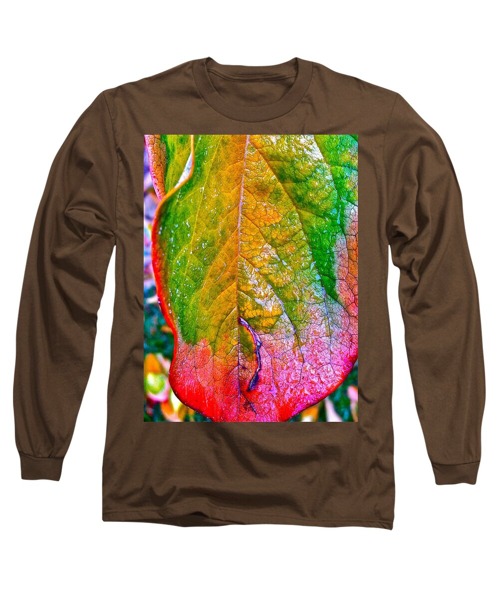 Leaves Long Sleeve T-Shirt featuring the photograph Leaf 2 by Bill Owen