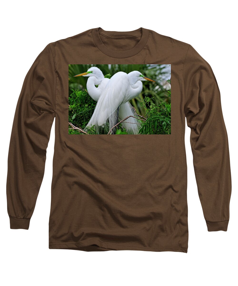 Mating Long Sleeve T-Shirt featuring the photograph Love Birds by Bill Dodsworth