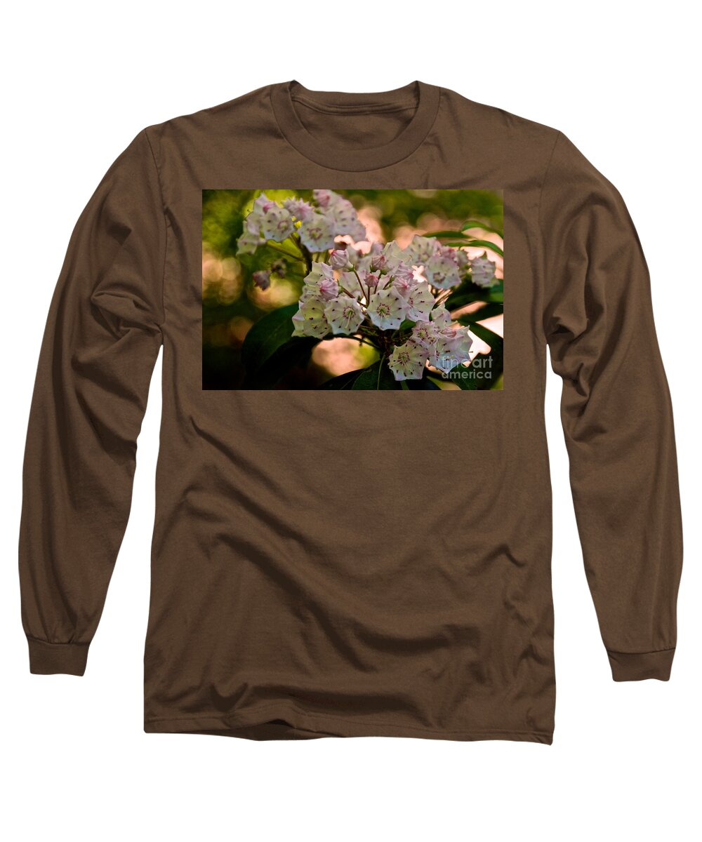 Mountain Laurel Flowers Long Sleeve T-Shirt featuring the photograph Mountain Laurel Flowers 2 by Mark Dodd