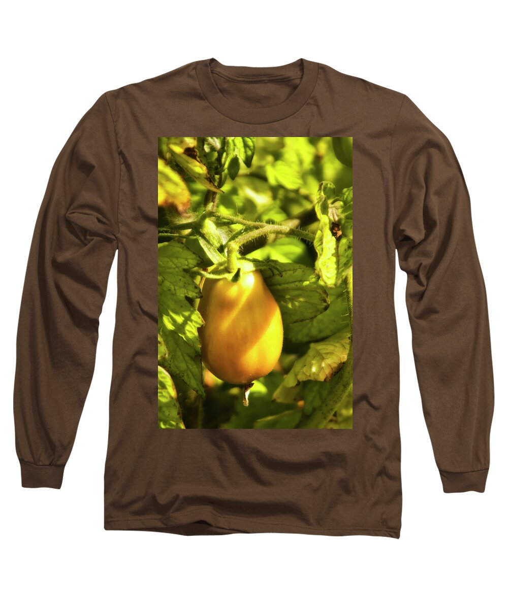 Afternoon Long Sleeve T-Shirt featuring the photograph Ripening Roma by Albert Seger