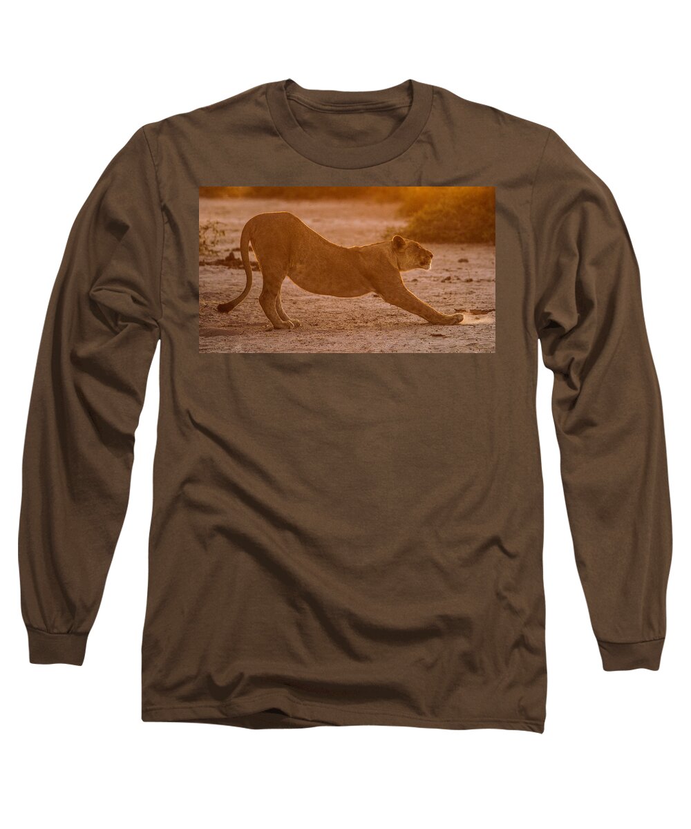 Action Long Sleeve T-Shirt featuring the photograph Sun stretch by Alistair Lyne
