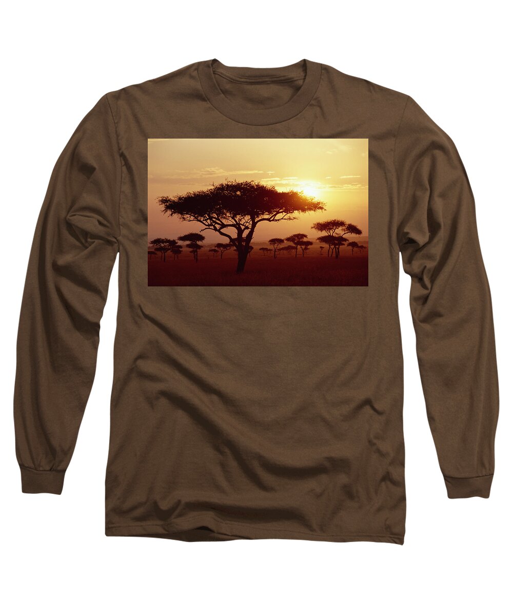 Mp Long Sleeve T-Shirt featuring the photograph Umbrella Thorn Acacia Tortilis Trees by Gerry Ellis