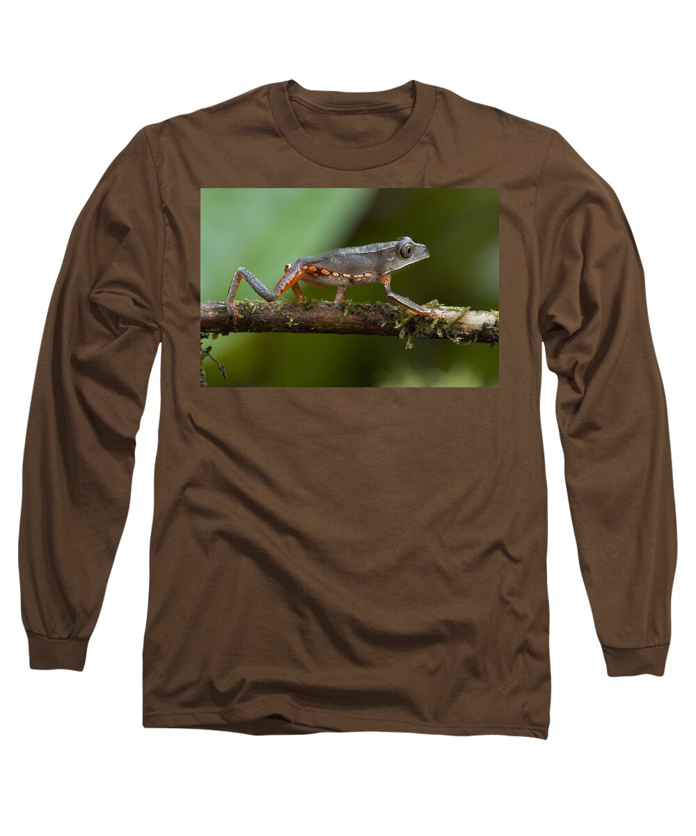00298558 Long Sleeve T-Shirt featuring the photograph White Lined Monkey Frog Guyana by Piotr Naskrecki