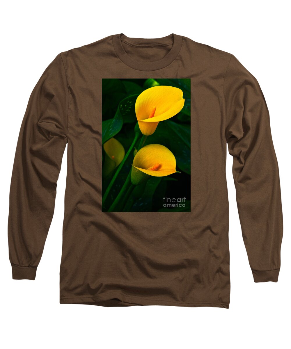 Lily Of The Nile Long Sleeve T-Shirt featuring the photograph Yellow Calla Lilies by Byron Varvarigos