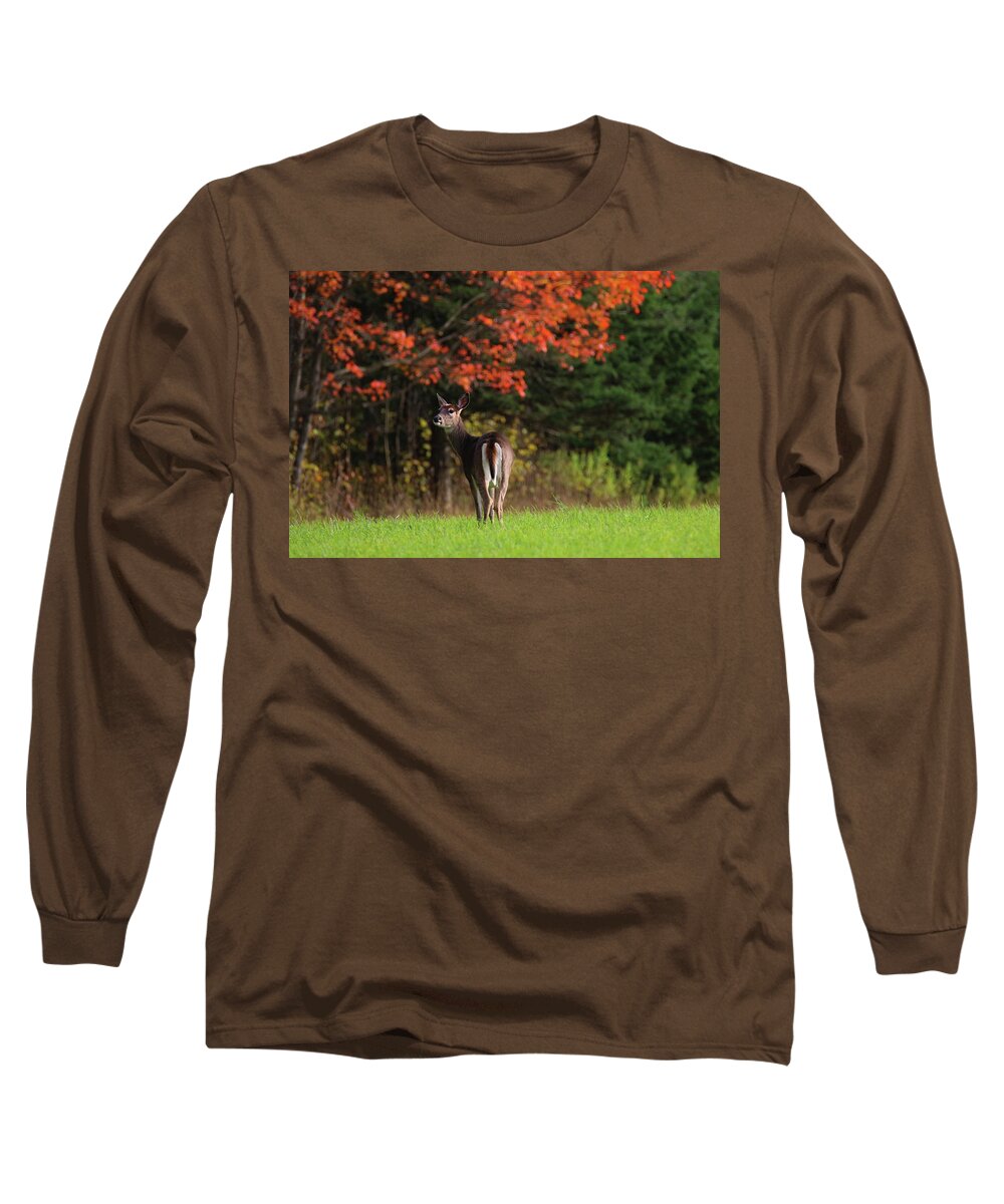 Deer Long Sleeve T-Shirt featuring the photograph Autumn Doe #2 by Brook Burling