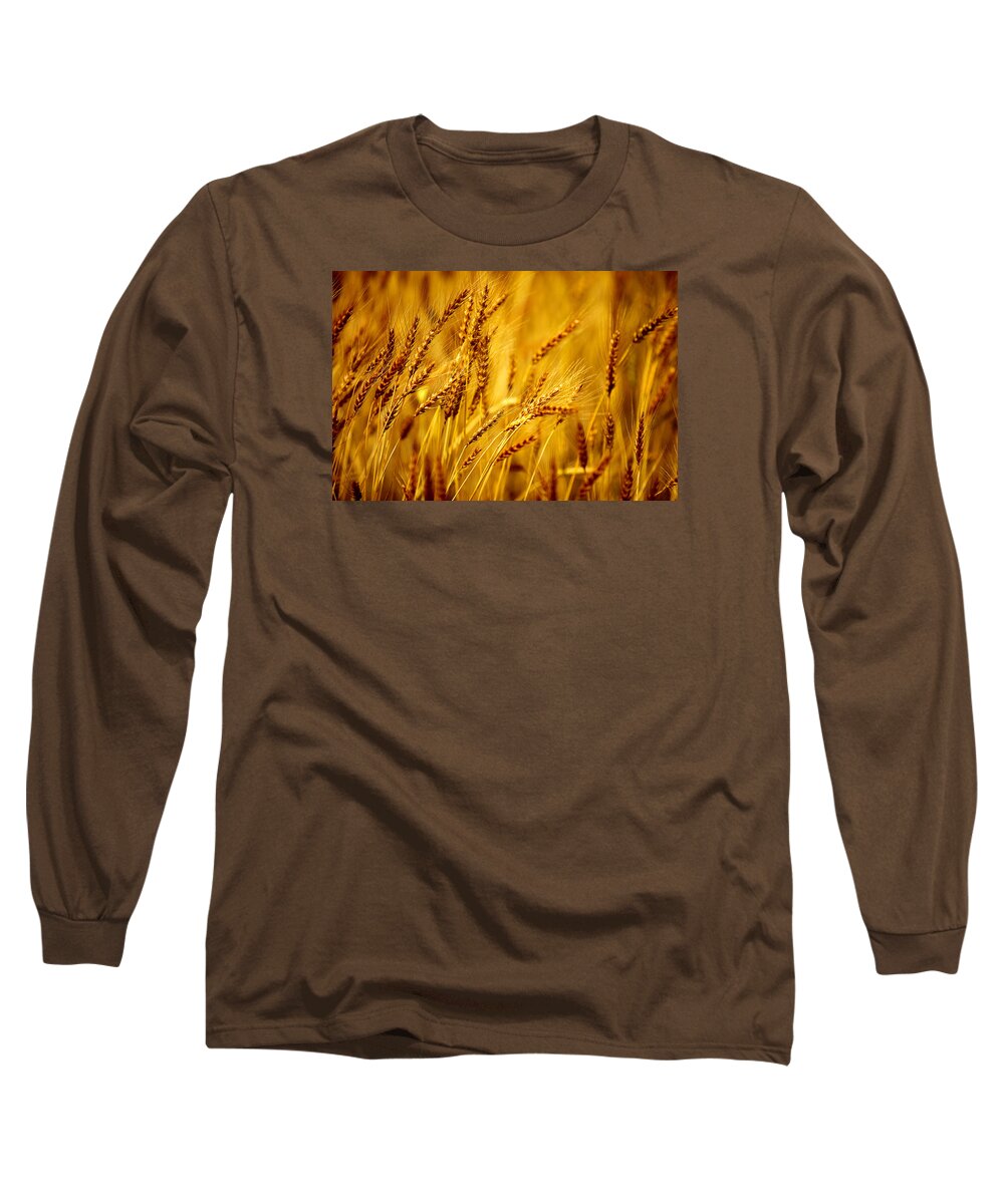 Barley Long Sleeve T-Shirt featuring the photograph Bearded Barley by Todd Klassy