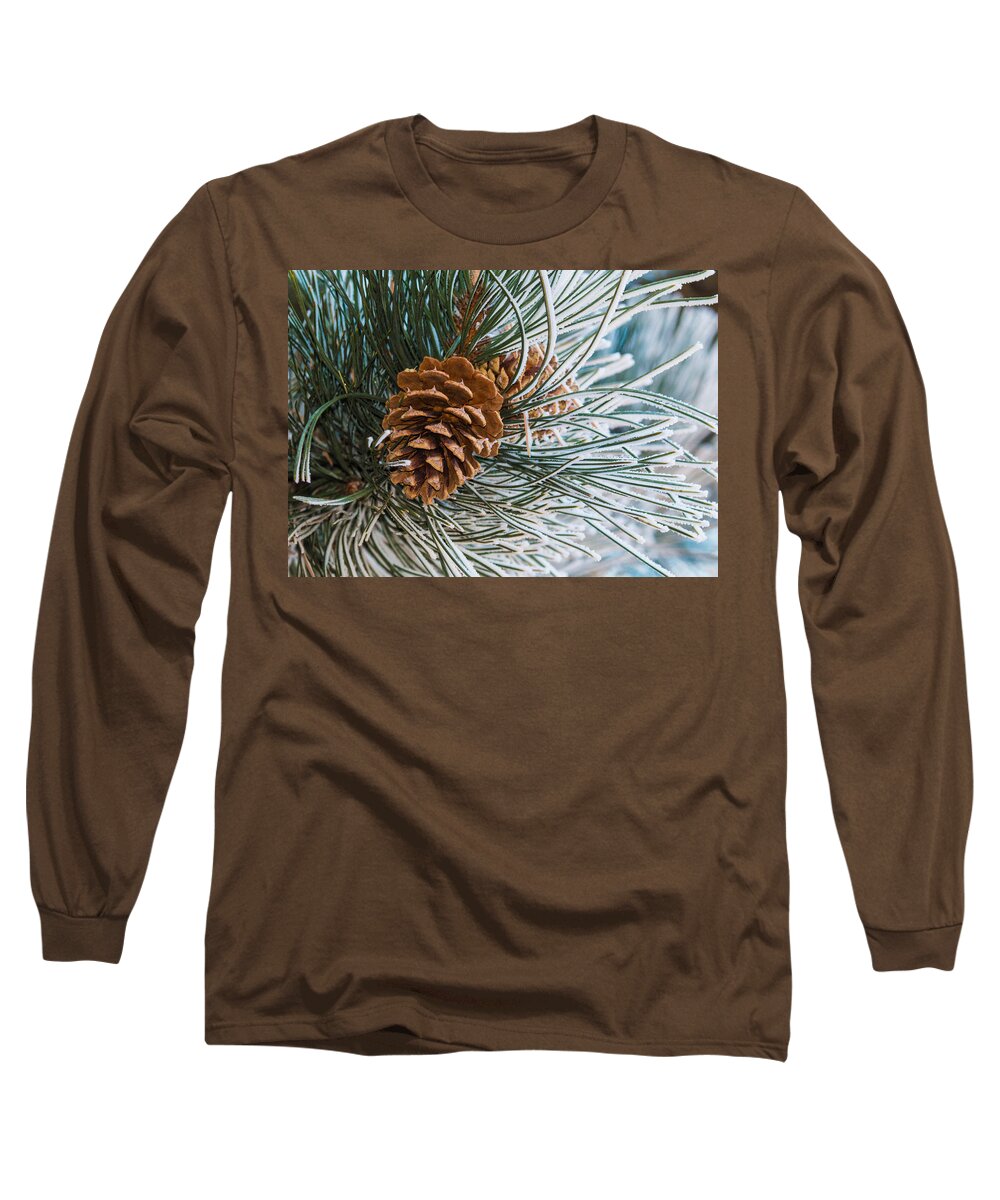 Christmas Long Sleeve T-Shirt featuring the photograph Frosty Pine Needles and Pine Cones #1 by Dawn Key