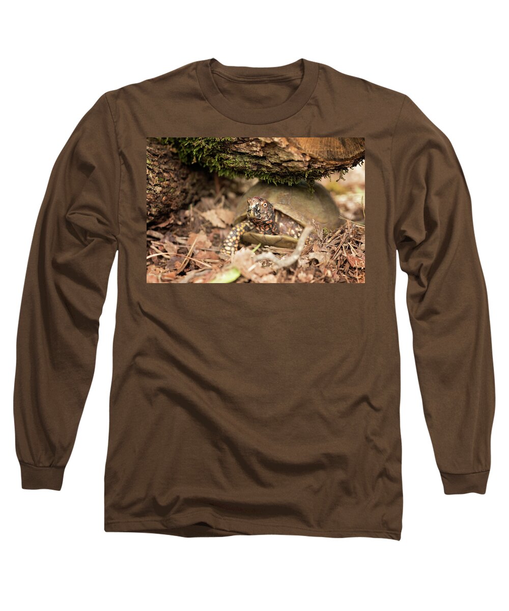 Turtles Long Sleeve T-Shirt featuring the photograph Turtle Town #6 by Eilish Palmer