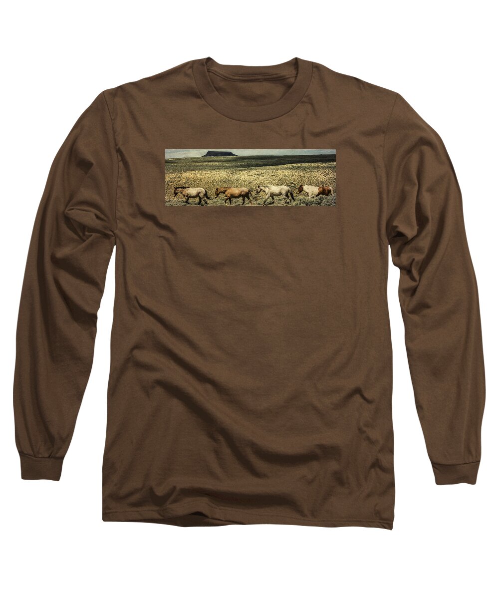 Architectural Photographer Long Sleeve T-Shirt featuring the photograph Walking The Line at Pilot Butte #1 by Lou Novick