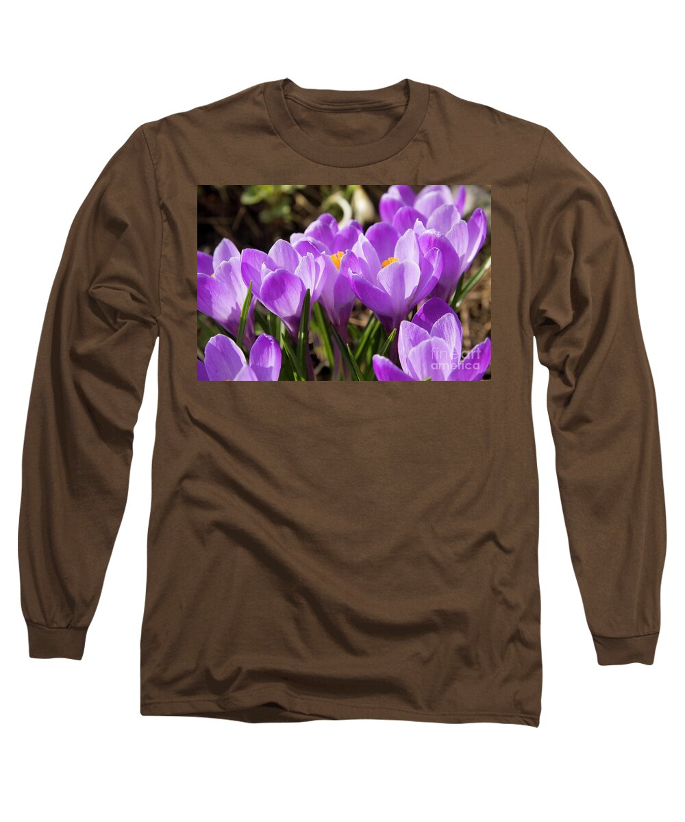 Crocus Long Sleeve T-Shirt featuring the photograph Purple crocuses #11 by Irina Afonskaya