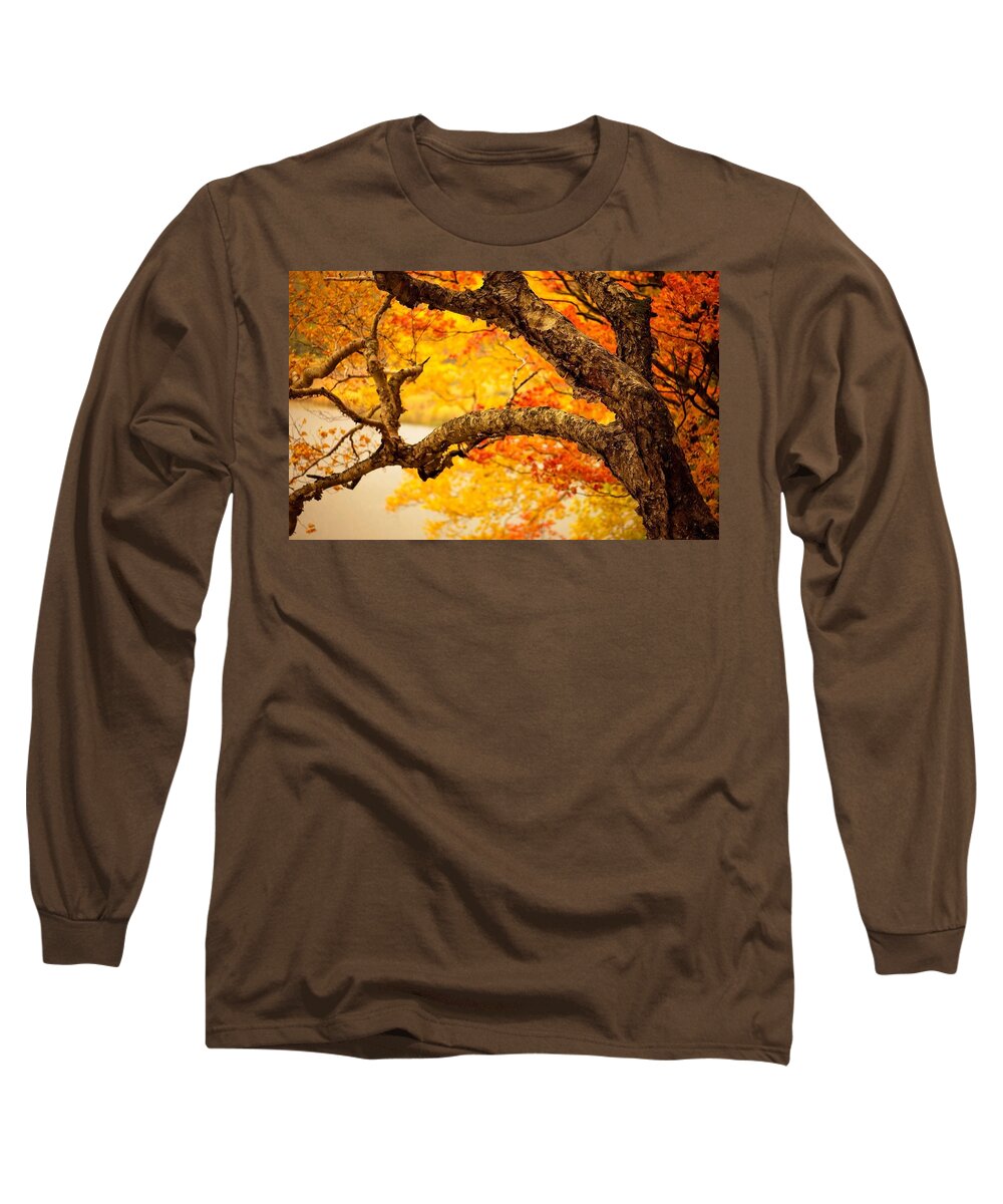 Tree Long Sleeve T-Shirt featuring the photograph Tree #17 by Jackie Russo