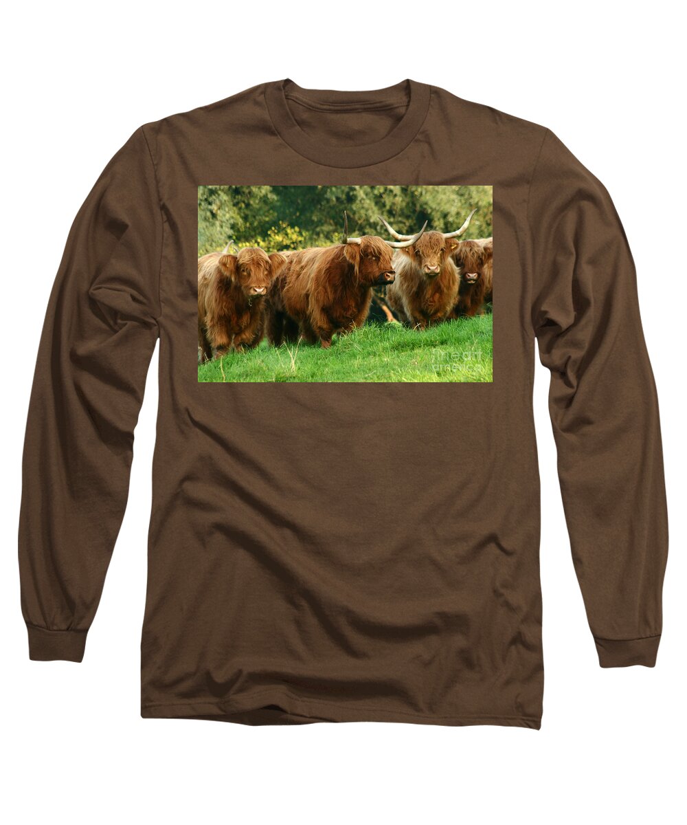 Cow Long Sleeve T-Shirt featuring the photograph Highland Cattle #2 by Ang El