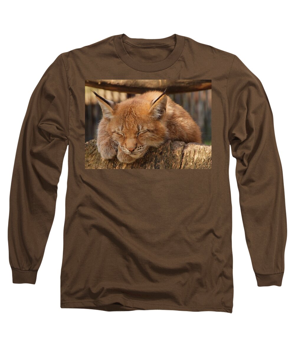 Cat Long Sleeve T-Shirt featuring the photograph Cat #97 by Jackie Russo