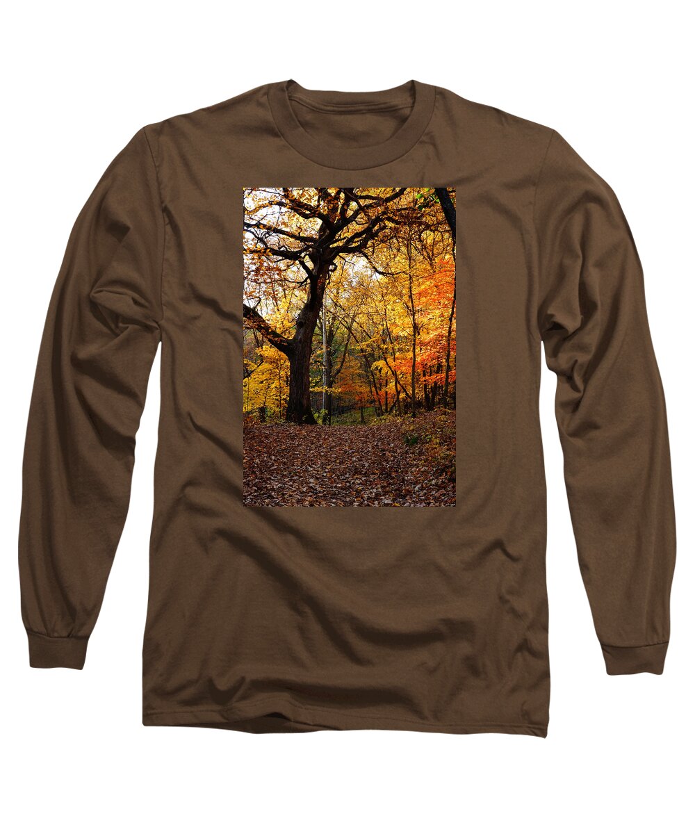 Landscape Long Sleeve T-Shirt featuring the photograph A Walk in the Woods 2 by Steven Clipperton