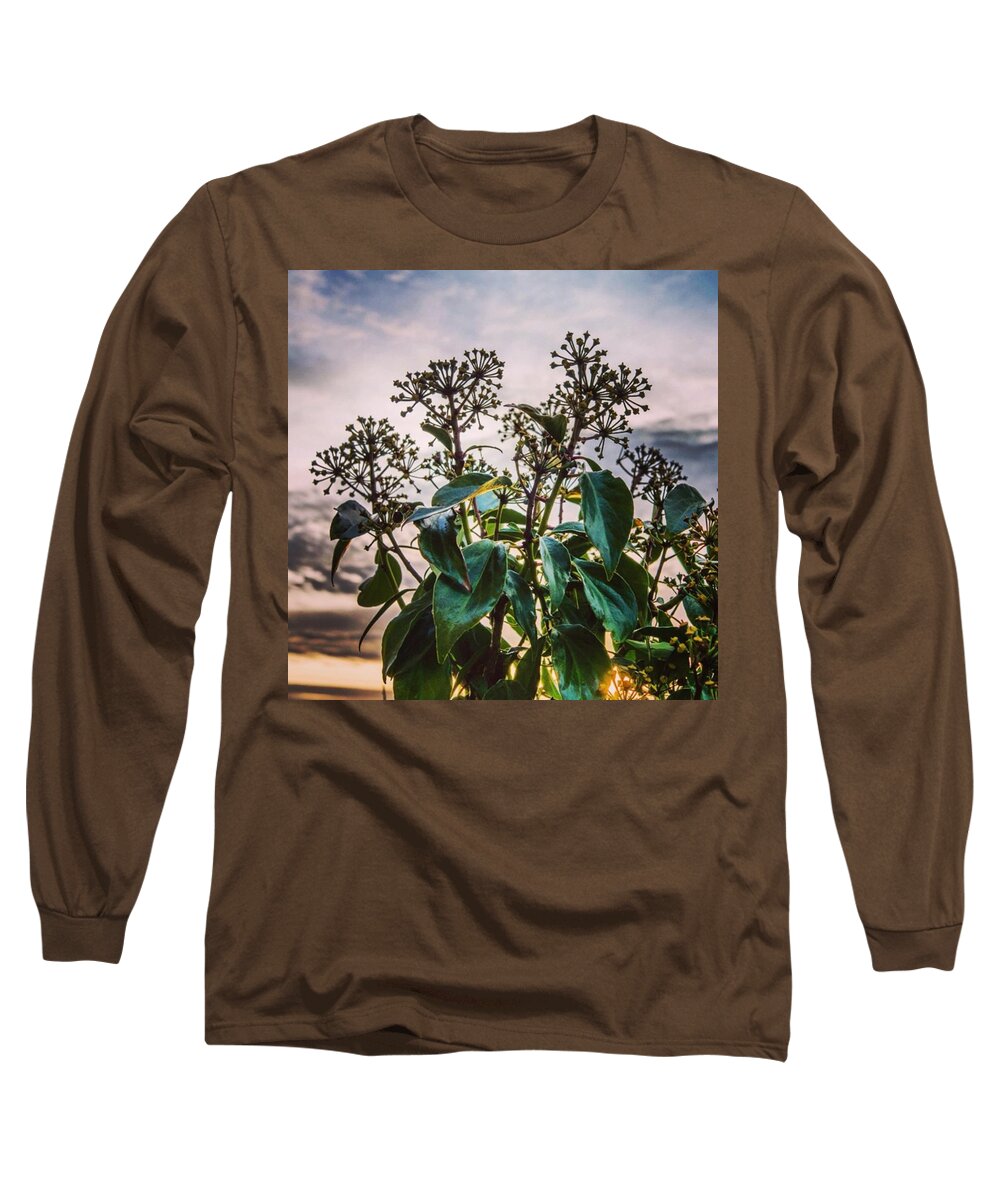 Plants Long Sleeve T-Shirt featuring the photograph Alive by Aleck Cartwright