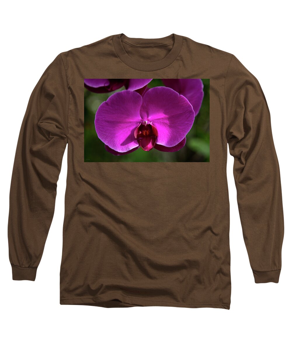Allan Long Sleeve T-Shirt featuring the photograph Allan Gardens Orchid by Ross Henton