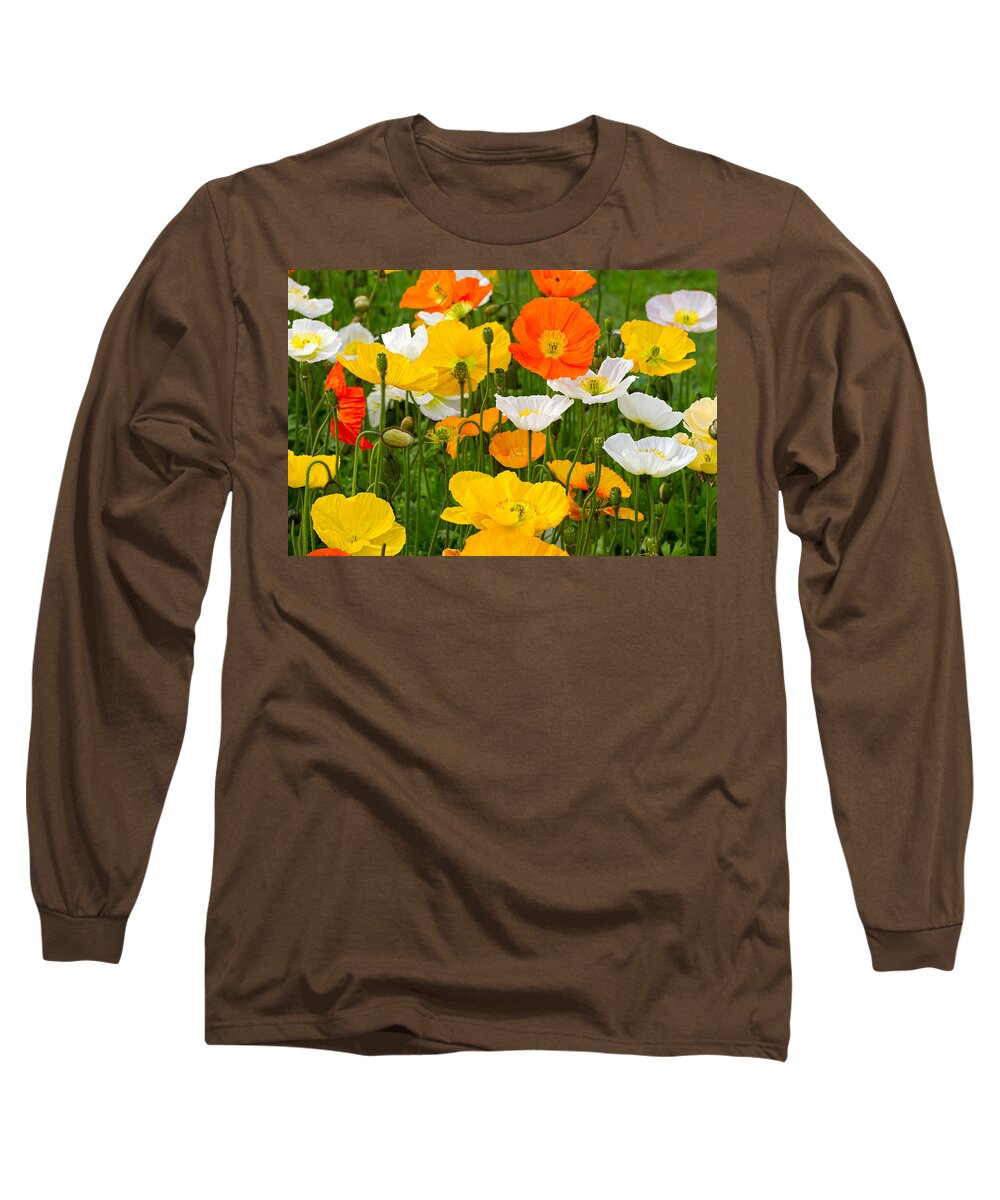 Poppies Long Sleeve T-Shirt featuring the photograph Alpine poppies by Louise Heusinkveld