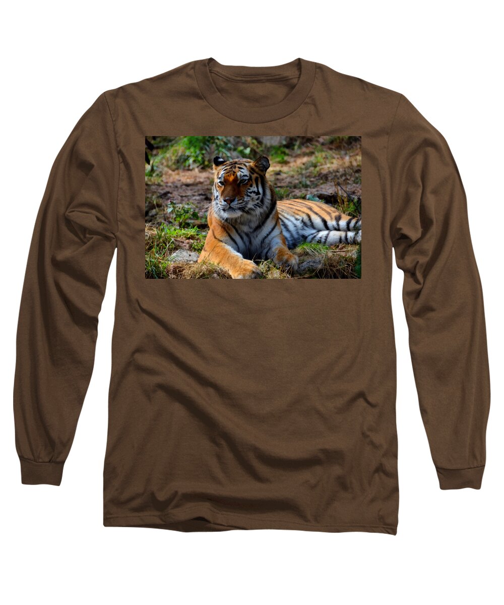 Amur Long Sleeve T-Shirt featuring the mixed media Amur Tiger 8 by Angelina Tamez