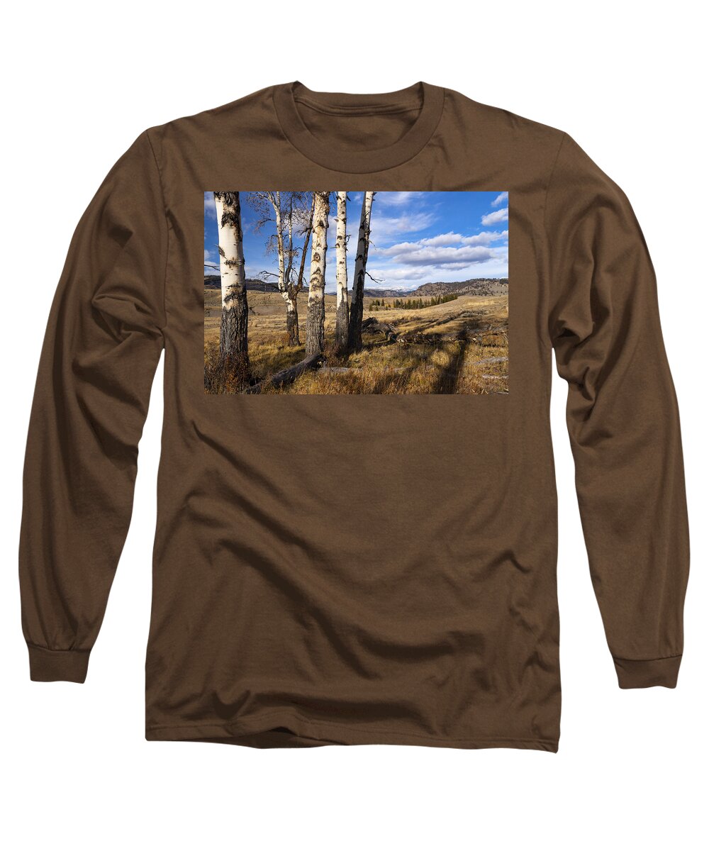 National Park Long Sleeve T-Shirt featuring the photograph Aspen Trees Lamar Valley by Todd Bannor