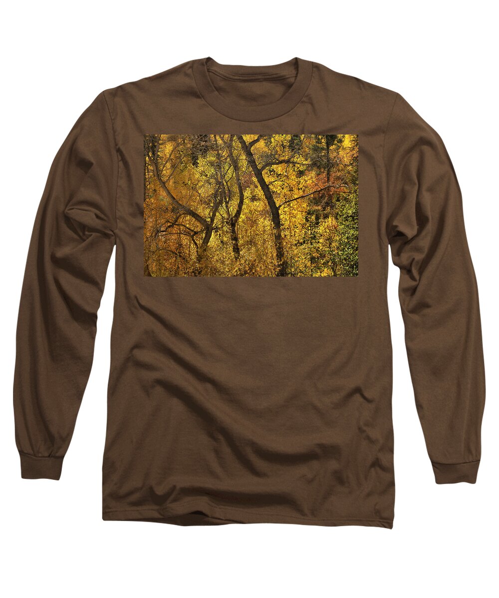 Landscape Long Sleeve T-Shirt featuring the photograph Autumn Cottonwood Thicket by Ron Cline