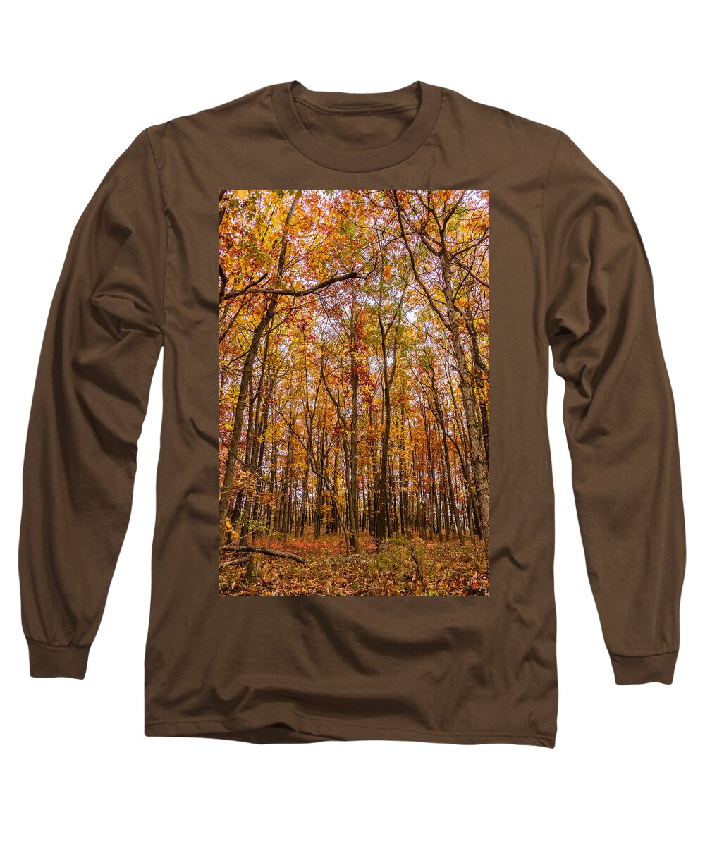 Trees Long Sleeve T-Shirt featuring the photograph Autumn forest by SAURAVphoto Online Store