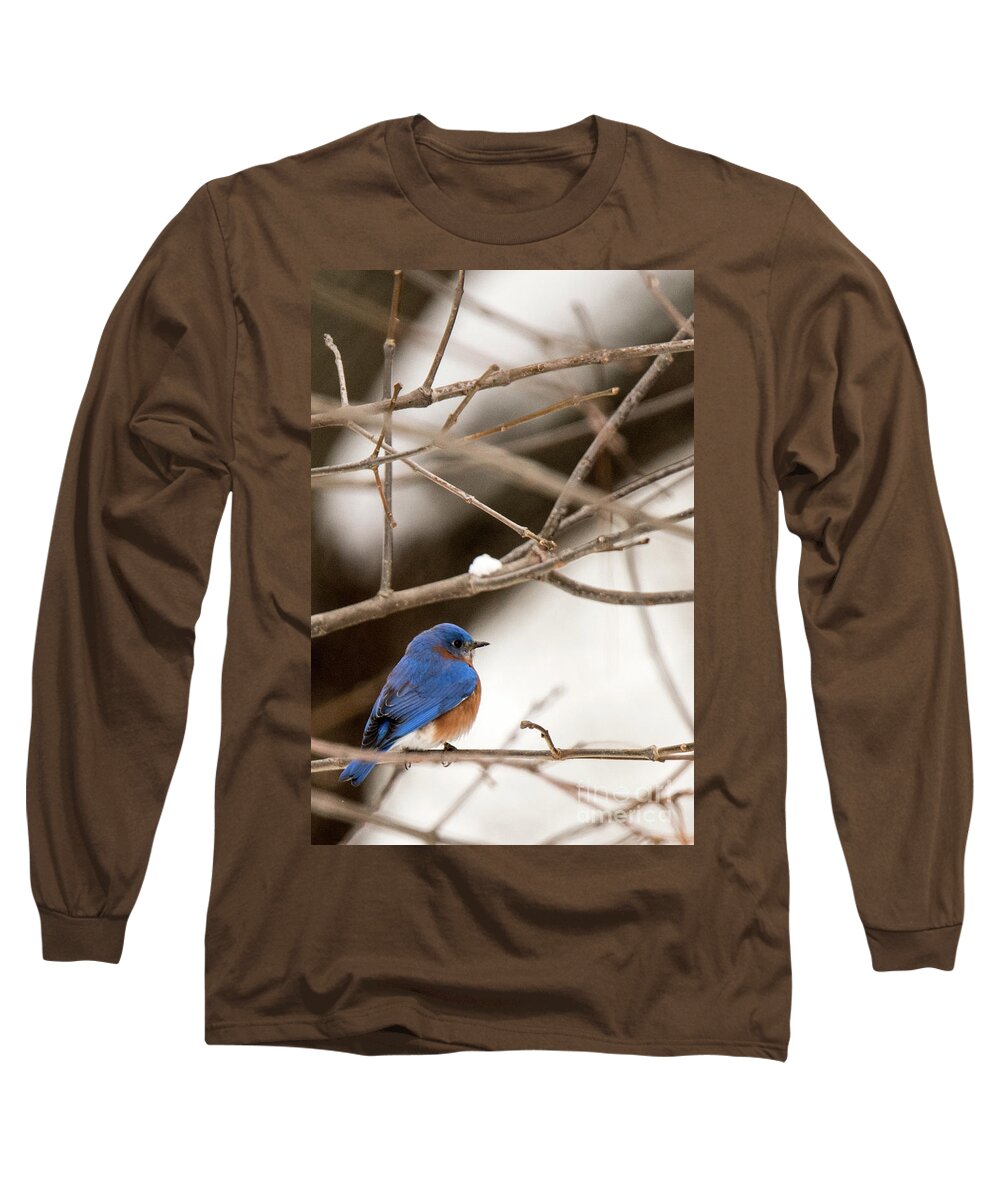 Backyard Long Sleeve T-Shirt featuring the photograph Backyard Bluebird by Ed Taylor