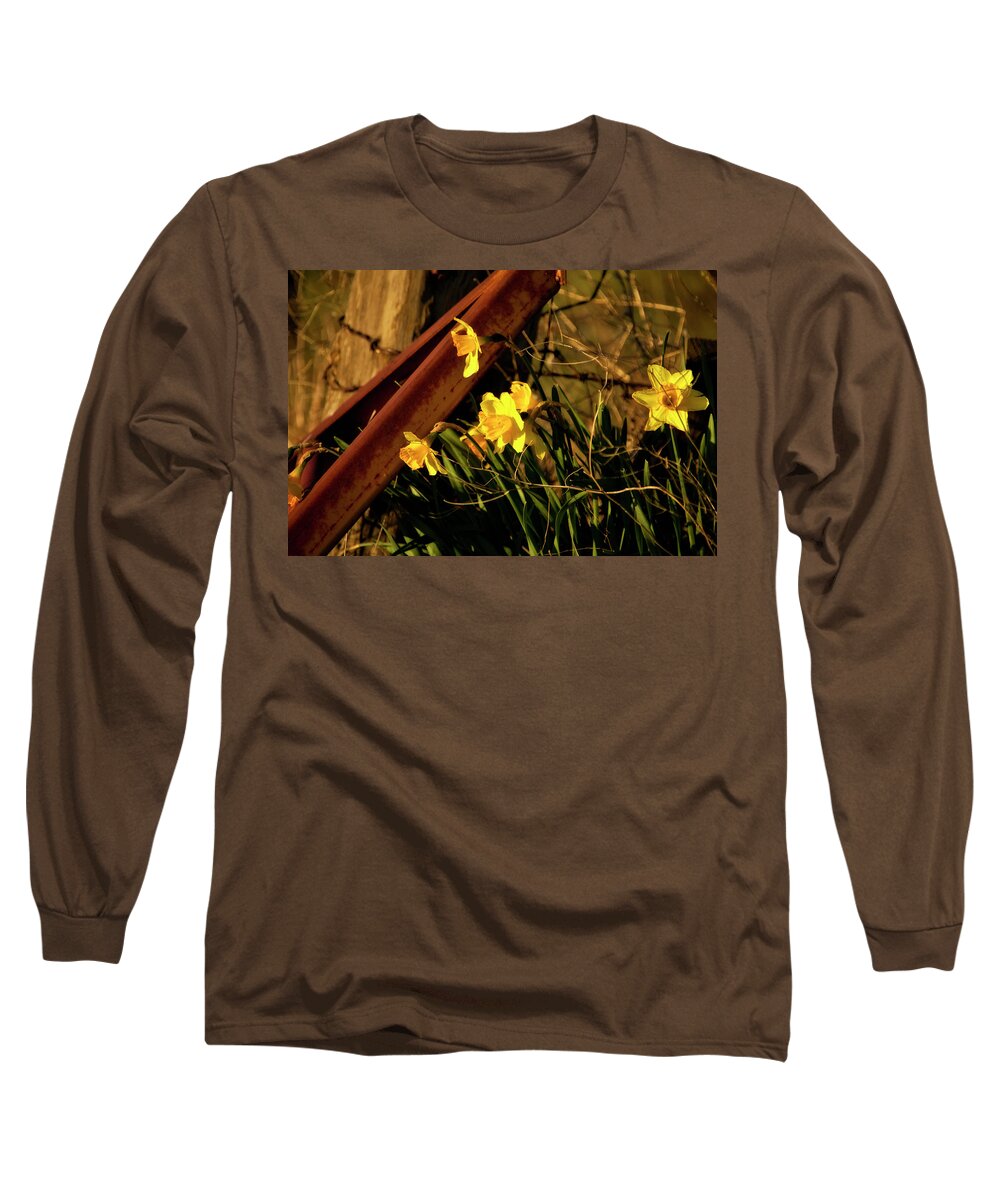 Daffodils Long Sleeve T-Shirt featuring the photograph Bad Situation by Albert Seger