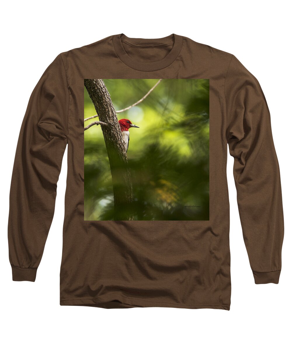 Red-headed Woodpecker Long Sleeve T-Shirt featuring the photograph Beauty In The Woods by Ed Peterson