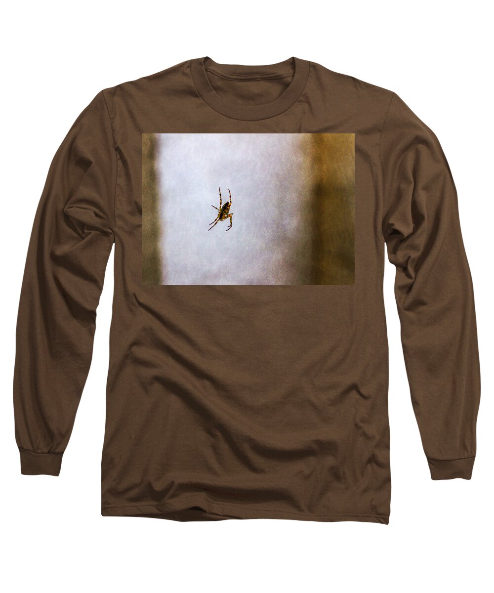 Bonnie Follett Long Sleeve T-Shirt featuring the photograph Belly of the spider by Bonnie Follett