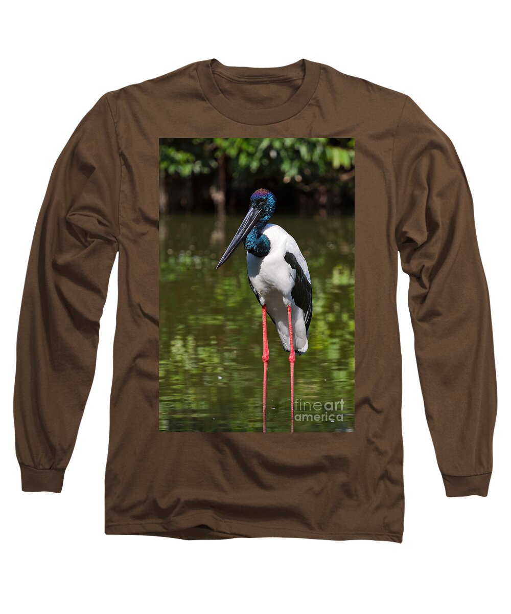 Birds Long Sleeve T-Shirt featuring the photograph Black-necked stork by Louise Heusinkveld