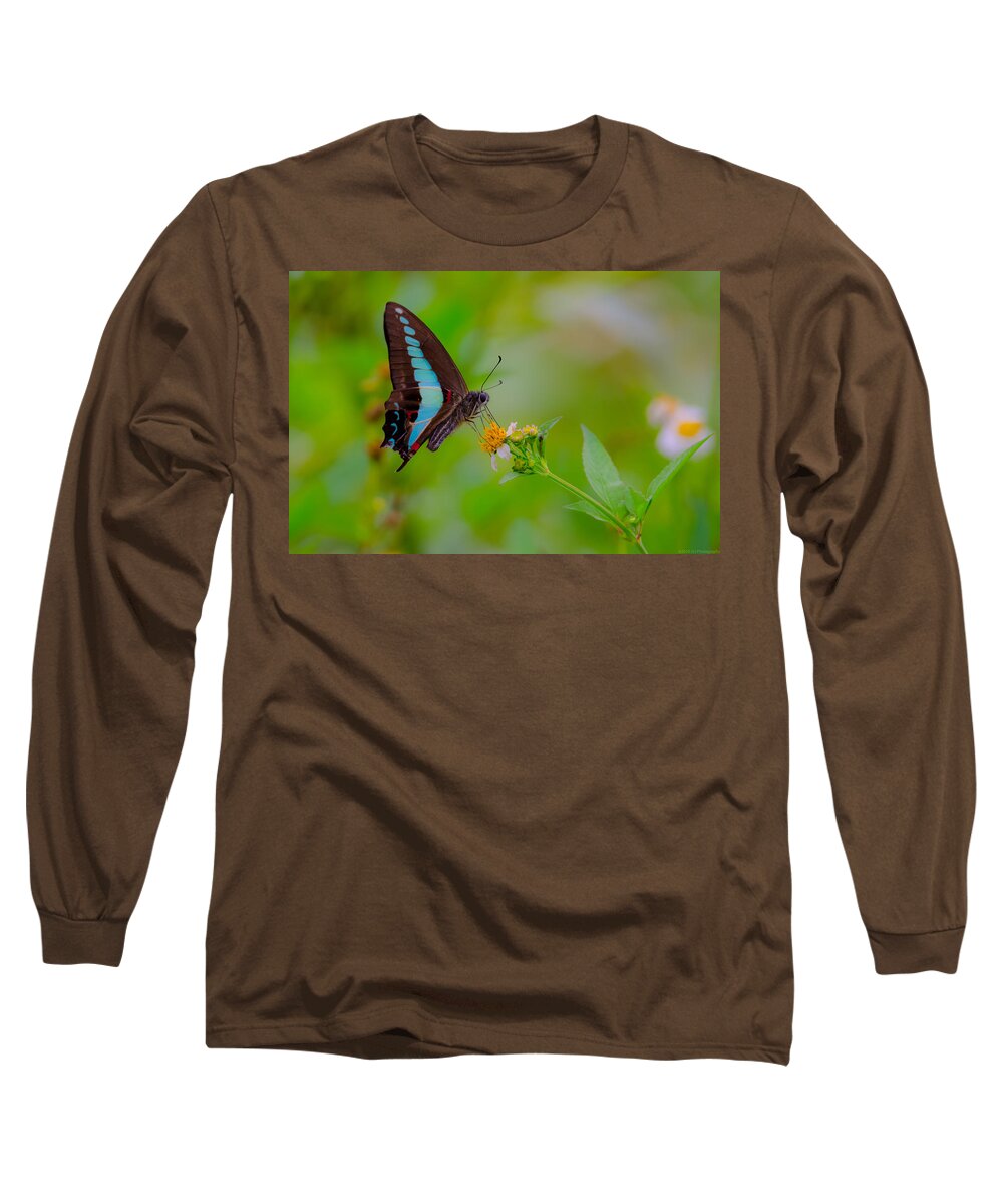 Blue Triangle Long Sleeve T-Shirt featuring the photograph Blue Triangle Butterfly on Okuma by Jeff at JSJ Photography