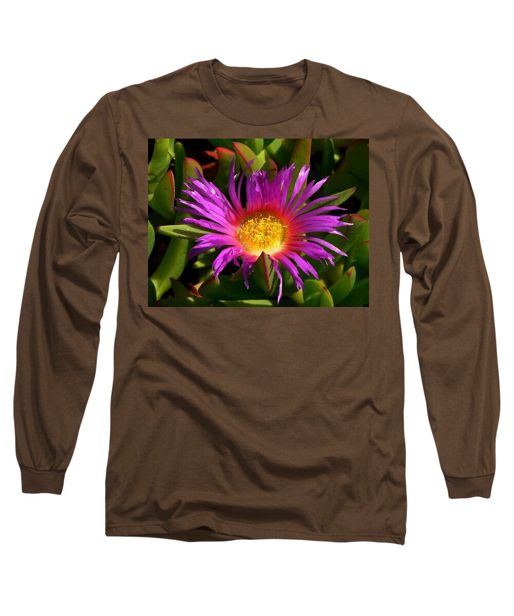 Purple Flower Long Sleeve T-Shirt featuring the photograph Burst of Beauty by Debbie Karnes