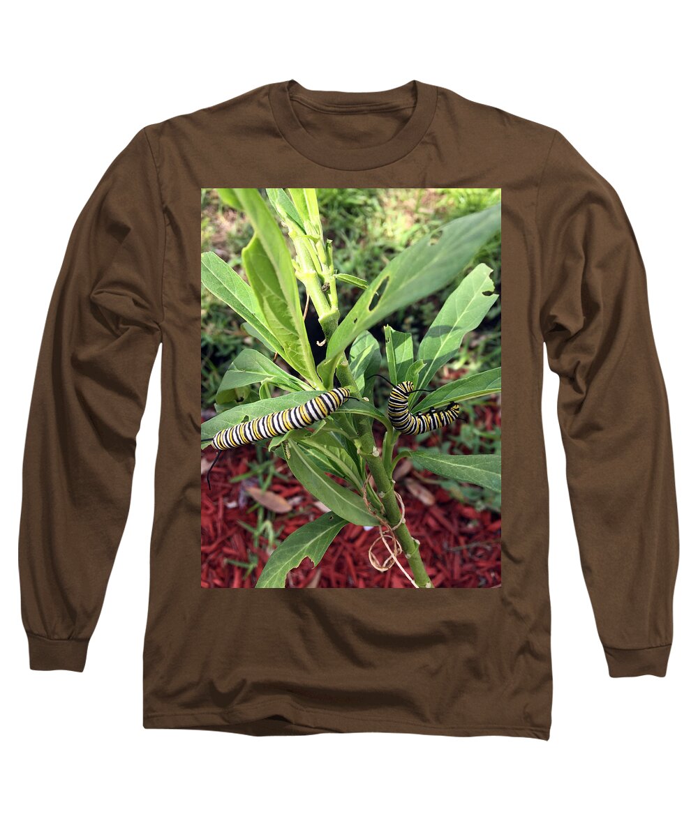 Caterpillars Long Sleeve T-Shirt featuring the photograph Change is Coming by Audrey Robillard