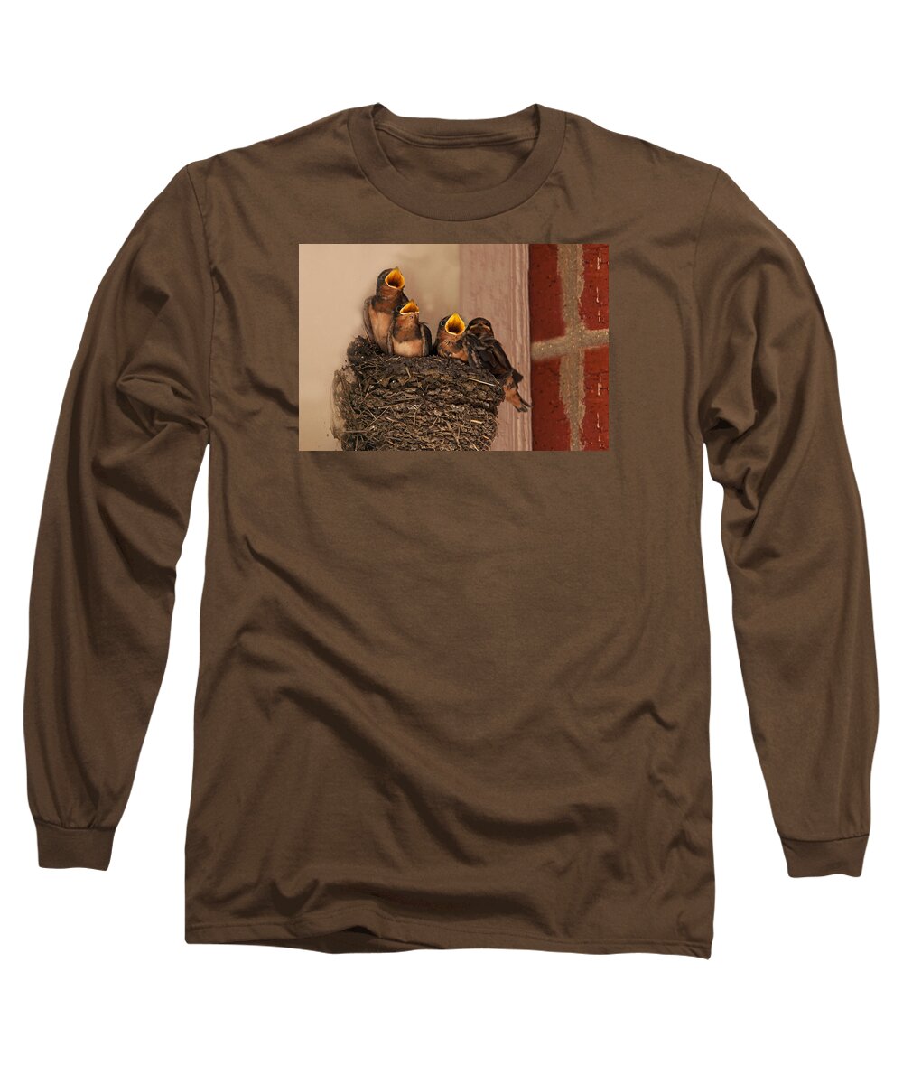 Barn Swallow Long Sleeve T-Shirt featuring the photograph Choir Practice by Mark Alder